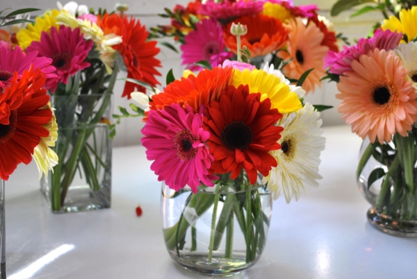 Centro de Mesa de Gerberas Multicolores